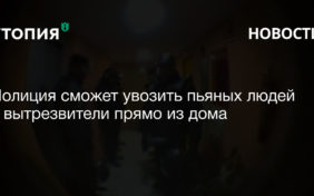 Полиция сможет увозить пьяных людей в вытрезвители прямо из дома