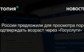 В России предложили для просмотра порно подтверждать возраст через «Госуслуги»