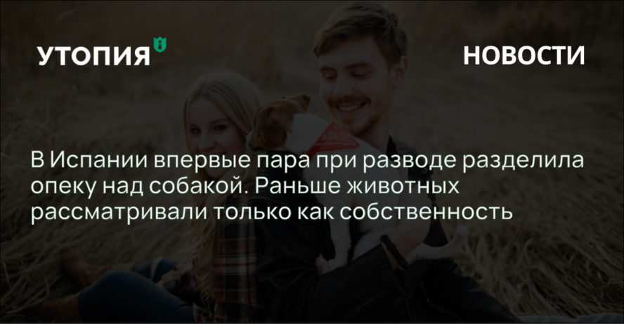 Суд Мадрида разделил между бывшими супругами опеку над собакой. Она будет жить по месяцу у каждого