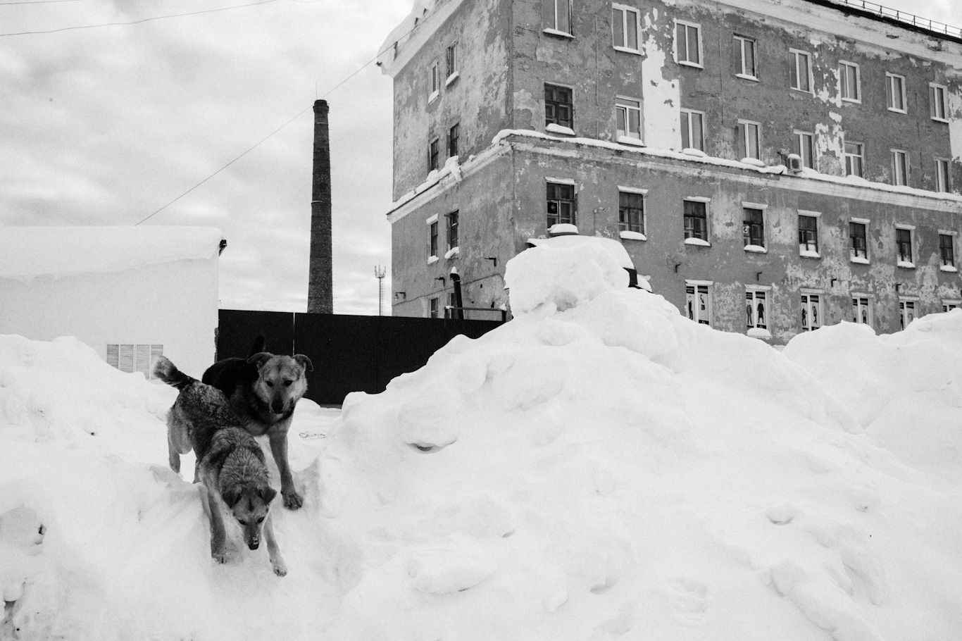 женская тюрьма, наркотики, Кизел, колония поселение, заключенная, наркозависимость, швейная фабрика